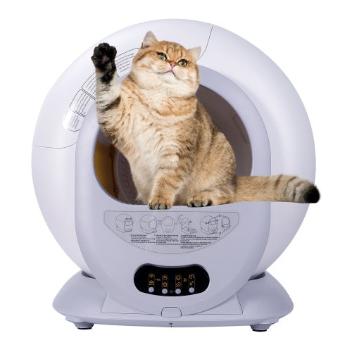 Self-cleaning Litter Box With Automatic Scooping And Deodorization